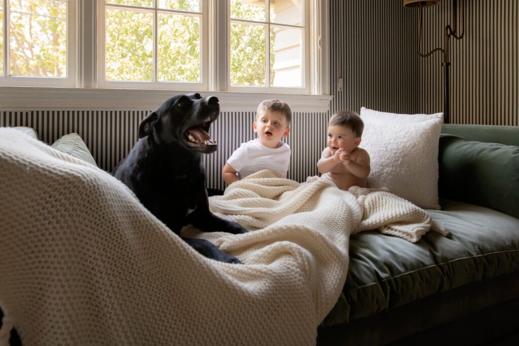 A toddler and a baby boy with their family dog on the sofa next to the window being photographer.